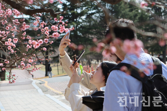 대강당 앞에서 지난 15일 홍매화 사진을 찍던 한 학생은 “나와 닮은 꽃이 피었다”며 “꽃을 통해 봄이 온 걸 알았다”고 말했다.