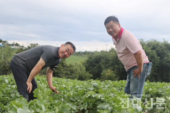 김영삼씨(왼)와 조광호씨가 무밭에서 웃고 있다.