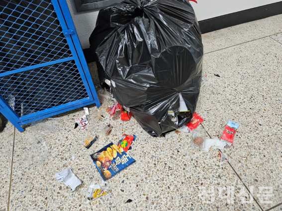 고양이가 학교 건물 내 쓰레기 봉투를 헤집어 놓은 모습.