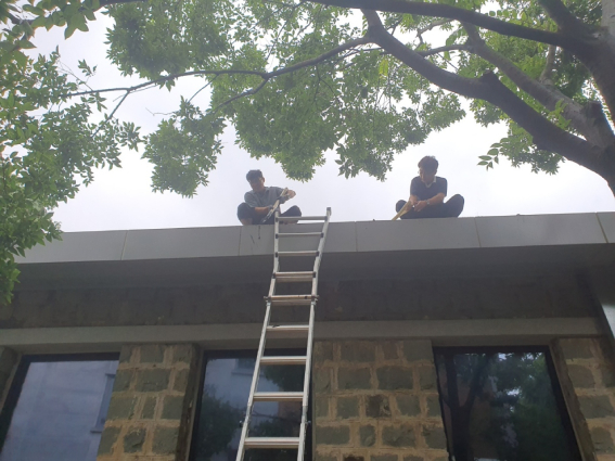 스토리움 지붕에서 건물 내부로 이어지는 배수 통로가 막혀 지난 8월 4일 시설과 직원들이 퇴적물을 제거하고 있다. 시설과 제공.